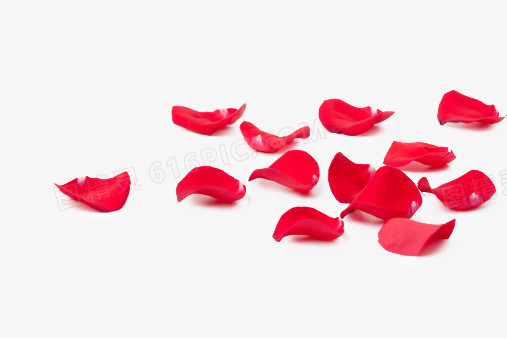凋零的红色玫瑰花瓣