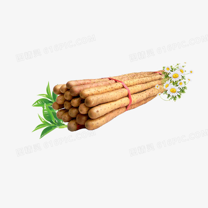 食品山药