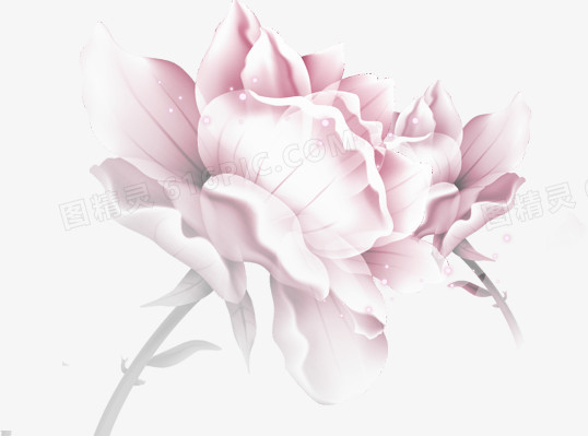粉色手绘花朵水珠装饰