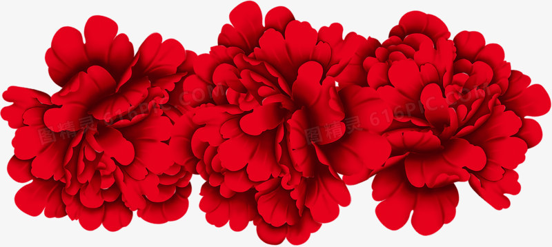 花朵，大红花，淘宝素材，装饰
