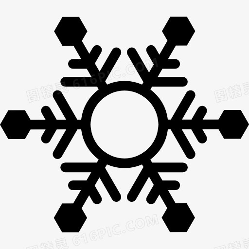 Snowflake 图标