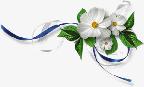 白色唯美鲜花花边边框
