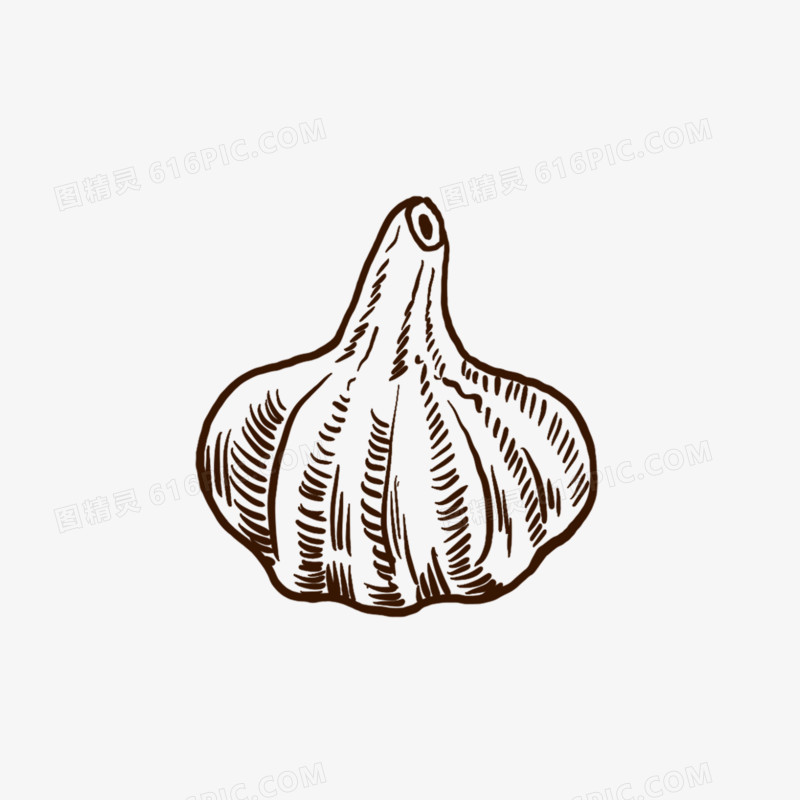 手绘线描大蒜免抠装饰元素