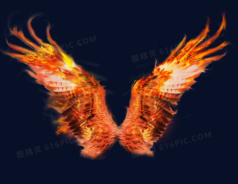 燃烧的翅膀
