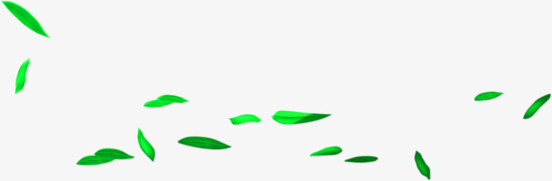 端午节绿色叶子漂浮装饰