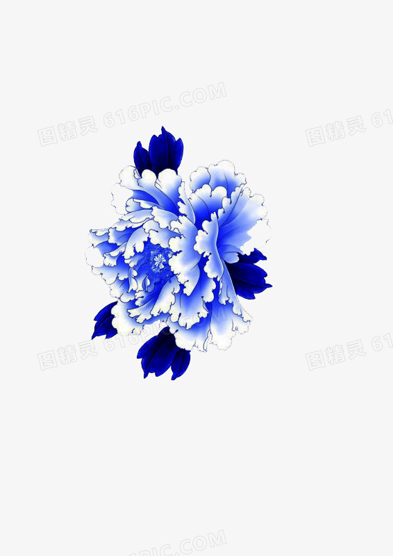 牡丹