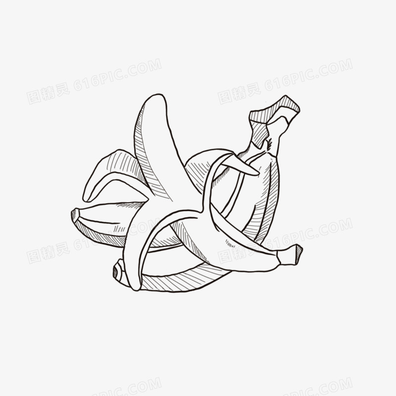 原创手绘香蕉线稿免抠元素