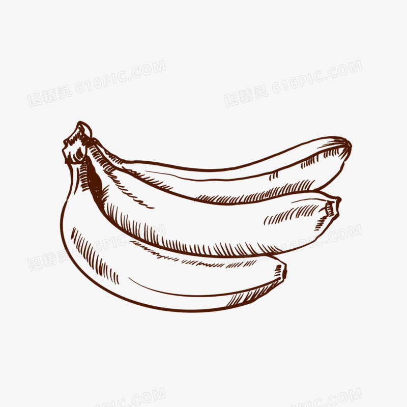 手绘线描水果香蕉免抠装饰 元素