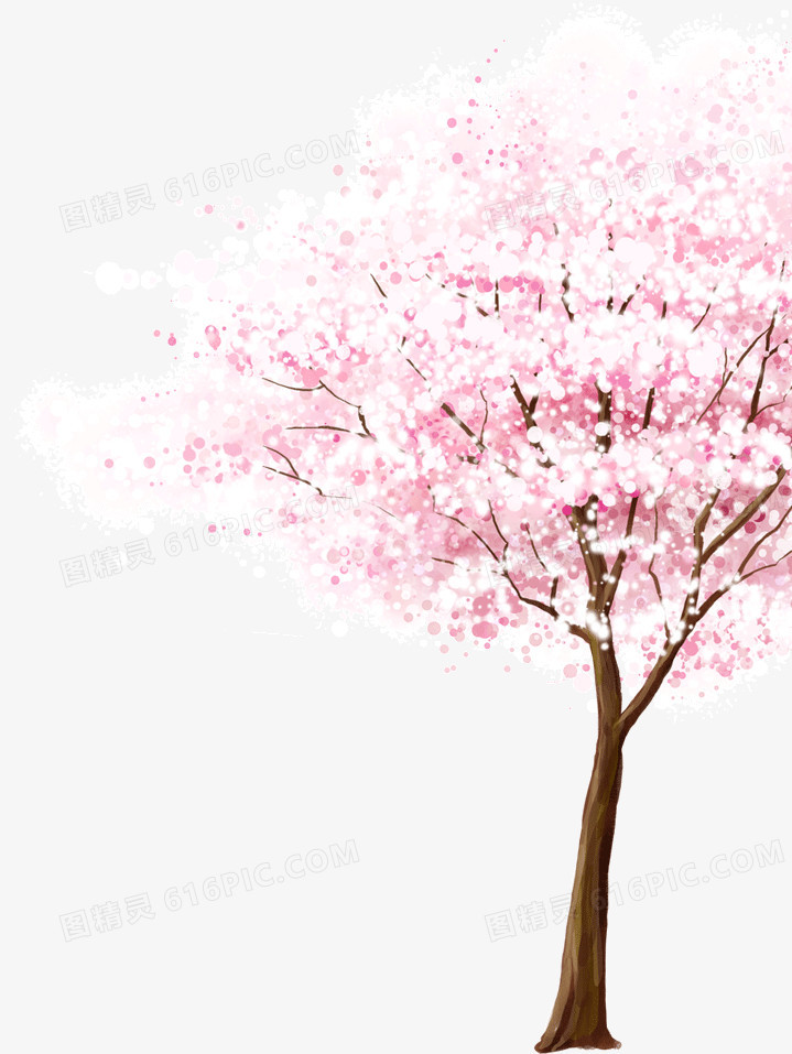一棵浪漫的樱花树