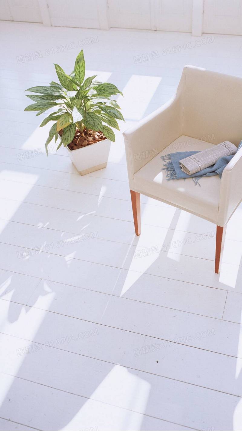 白色简约家具沙发植物