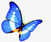 春天蓝色纹理光效蝴蝶装饰