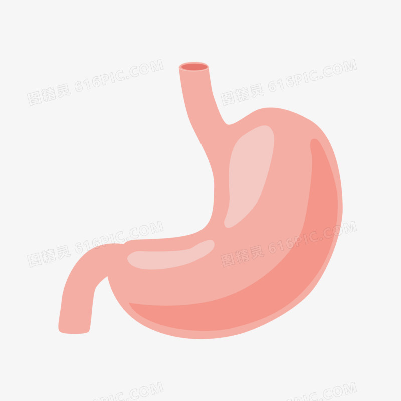 卡通手绘人体器官胃免抠素材