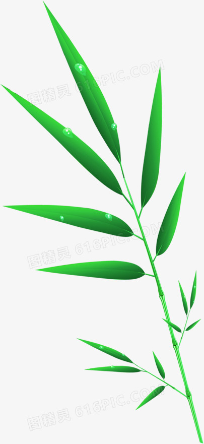 绿色卡通清新竹叶