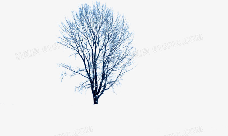 冬季树枝插画背景