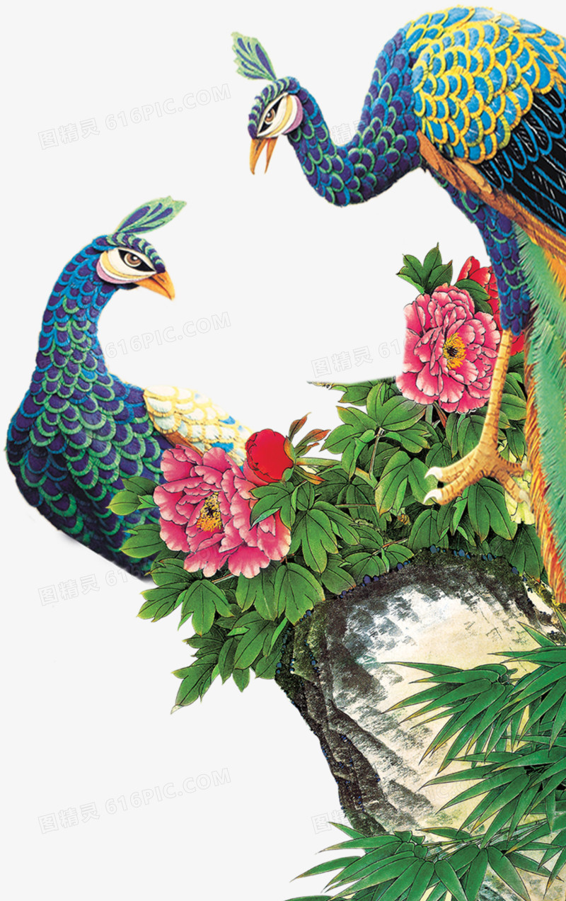 孔雀