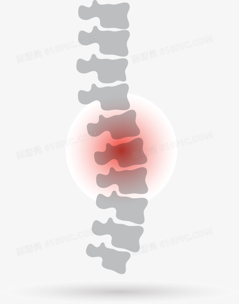 脊椎矢量图
