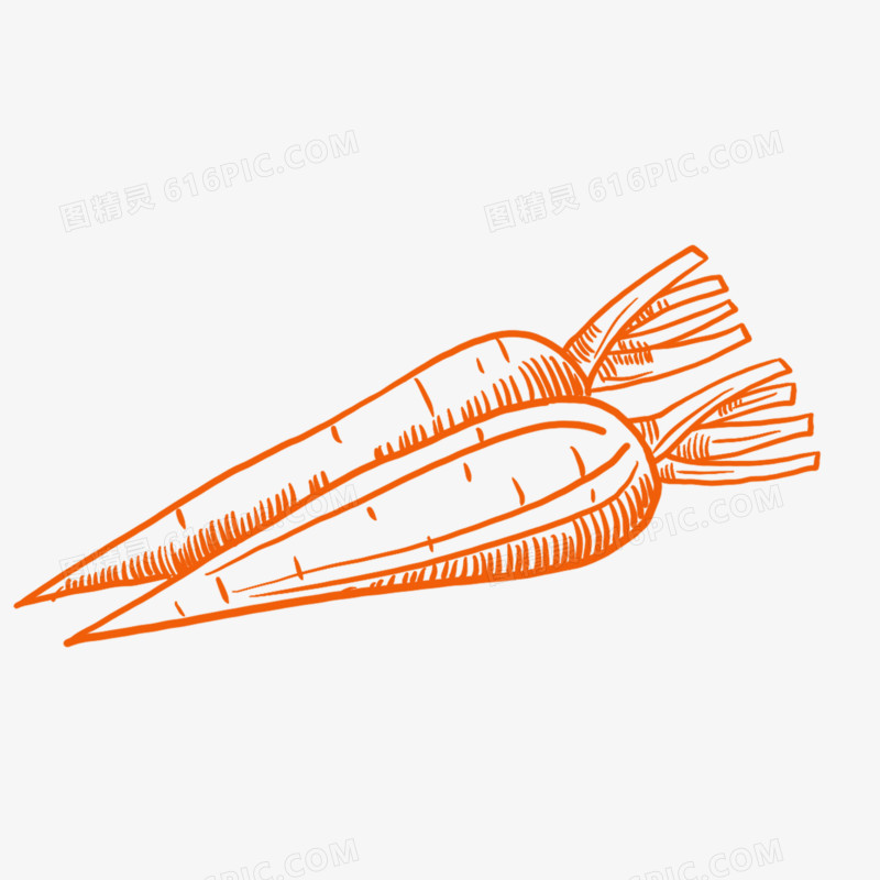 手绘线描蔬菜胡萝卜简笔画装饰素材