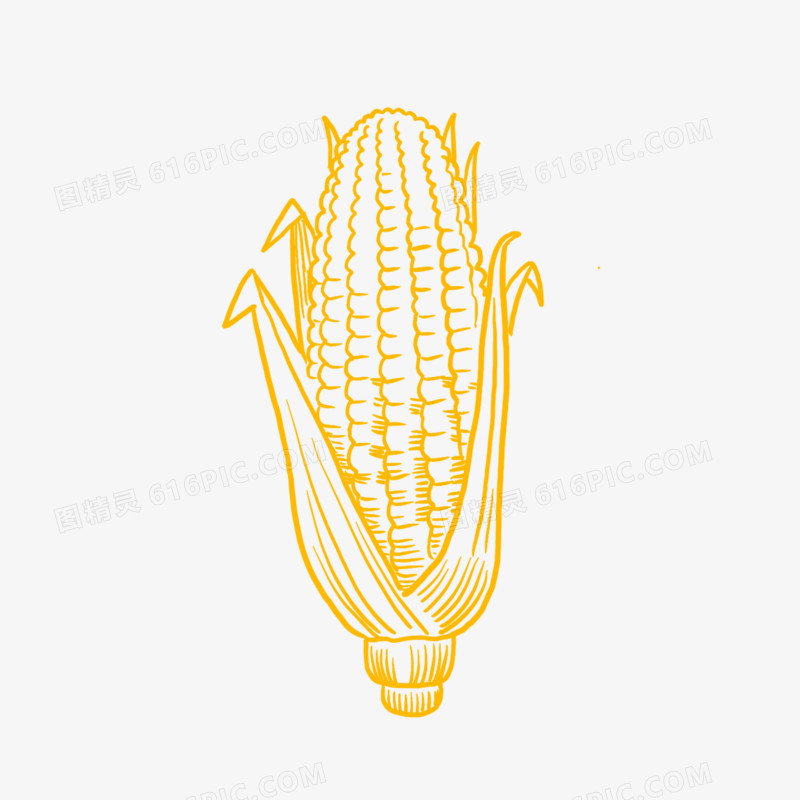 手绘线描蔬菜玉米简笔画装饰素材