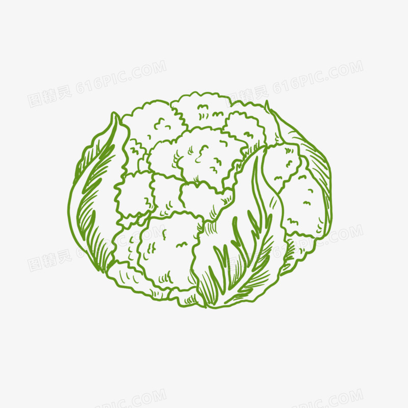 手绘线描蔬菜椰菜花简笔画装饰元素
