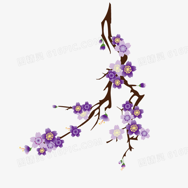 樱花 花纹 淡紫色