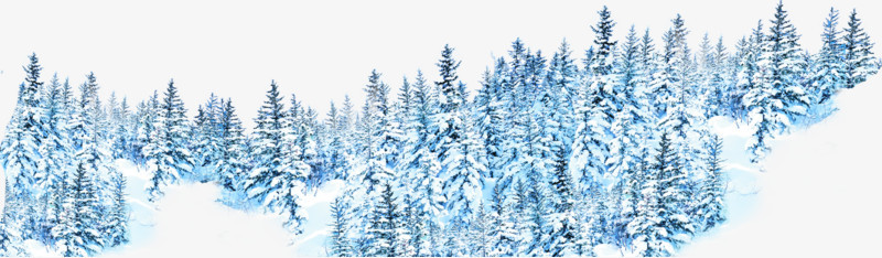 高清摄影冬天的森林合成