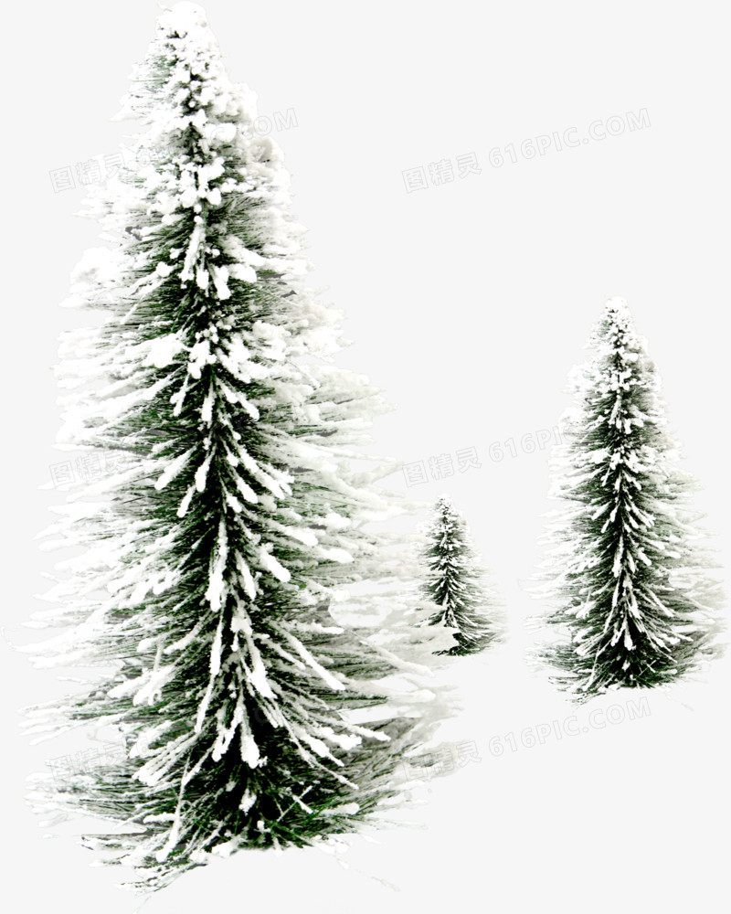 冬季唯美树木雪景