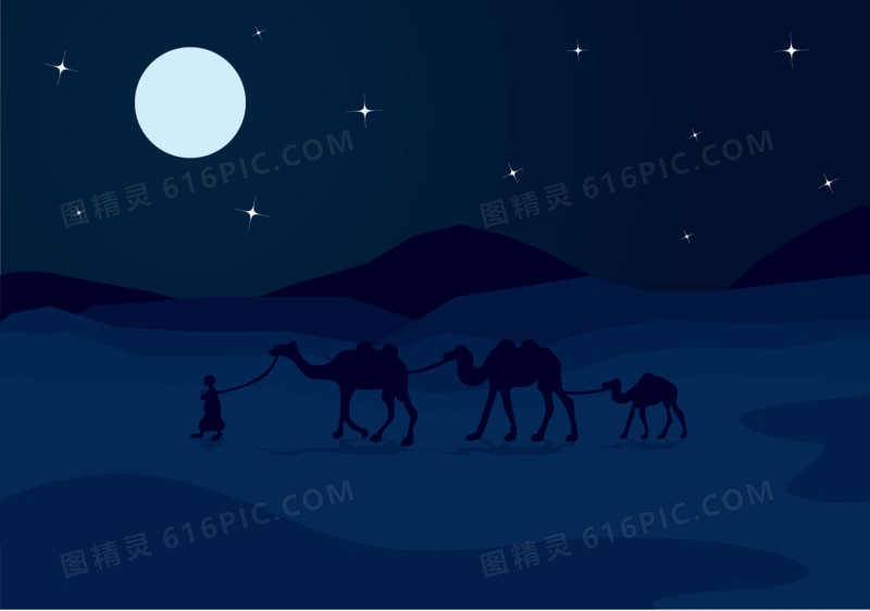 矢量夜晚星空骆驼