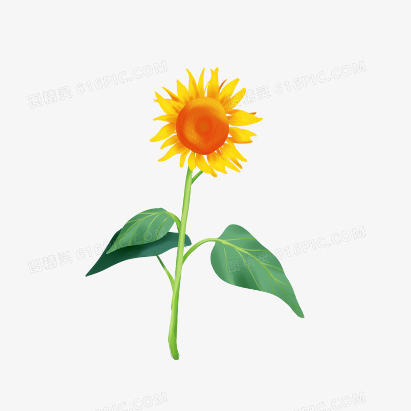手绘向日葵插画厚涂风格植物元素