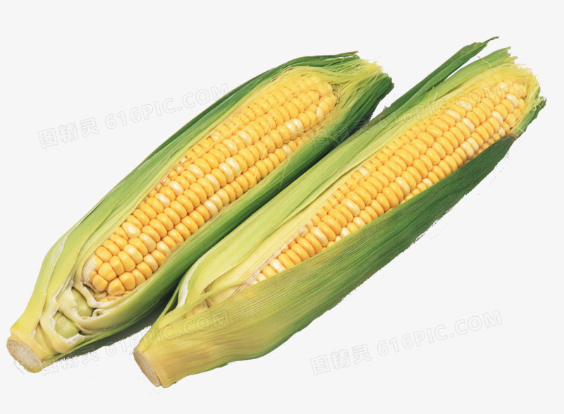 蔬菜图标食物图标  精美清新玉米