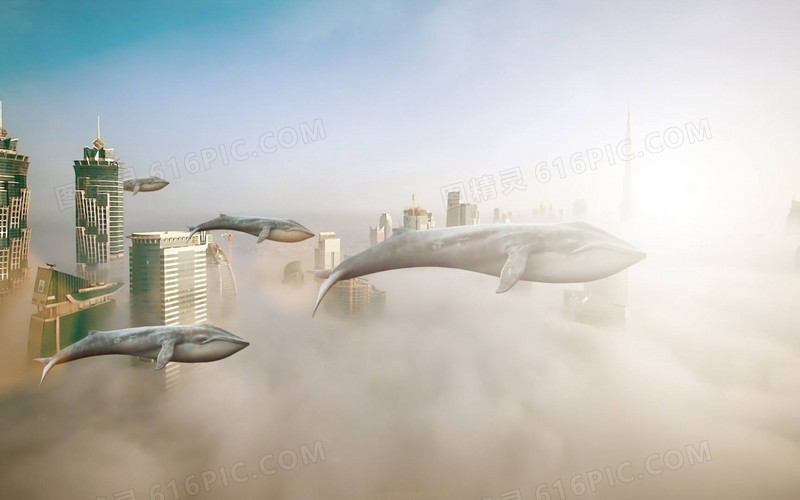 城市天空中的鲸鱼海报背景