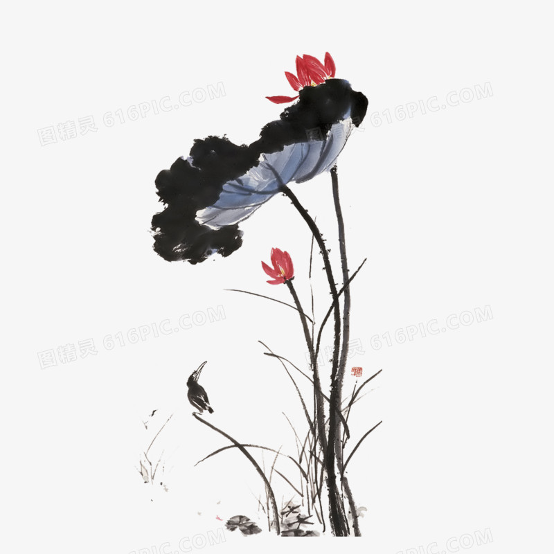 荷花