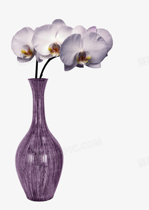 紫色花瓶里的紫色蝴蝶兰