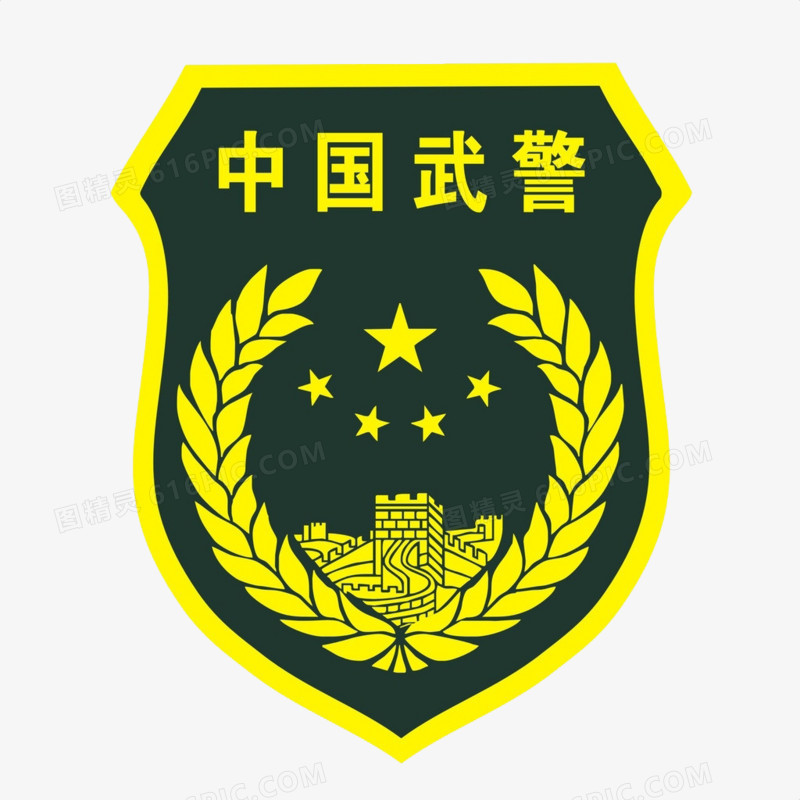 中国武警臂章