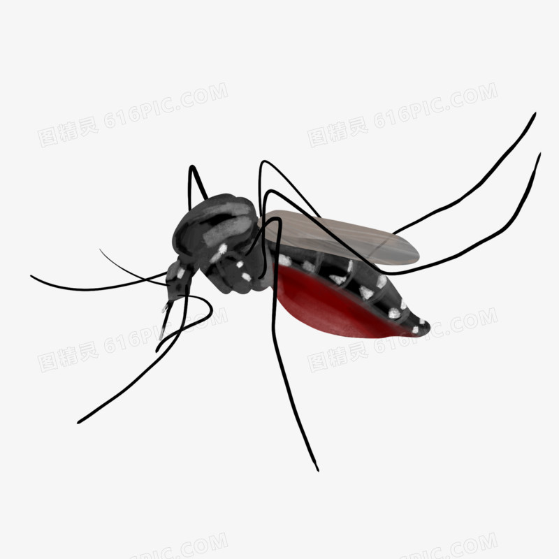 手绘昆虫蚊子免抠素材