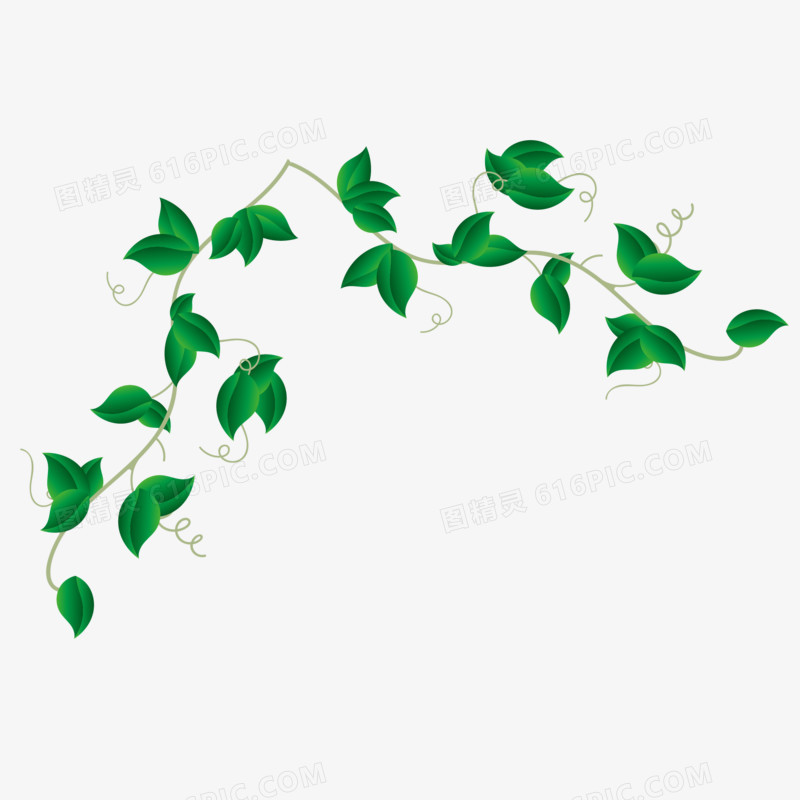 手绘绿色植物藤蔓装饰素材