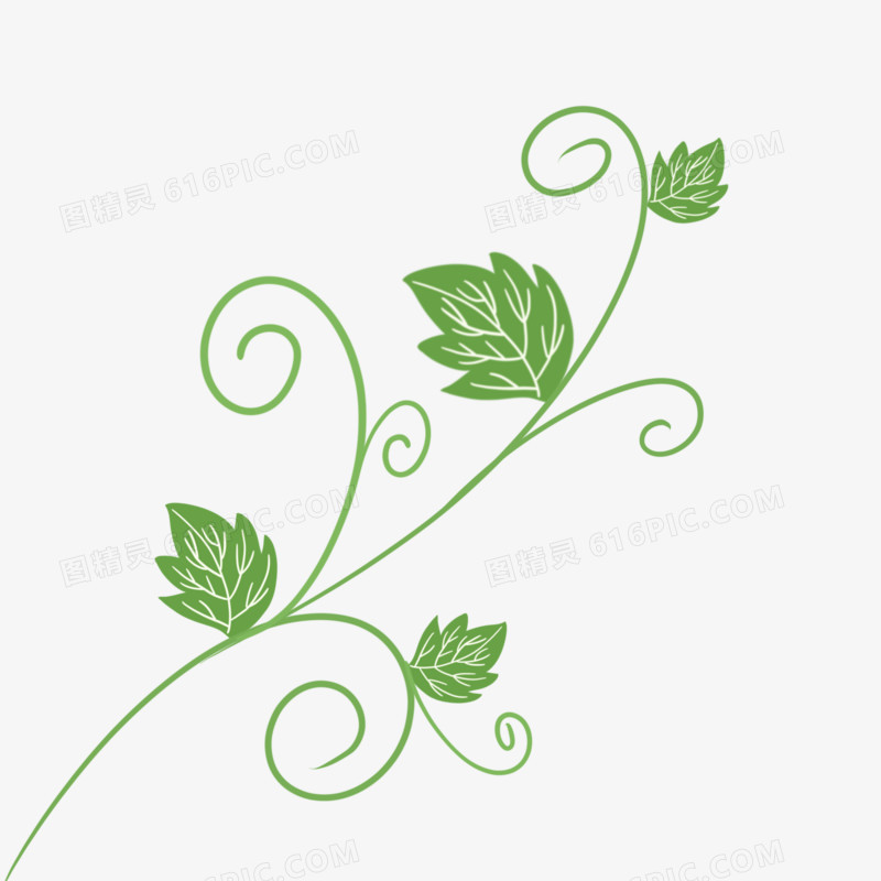 藤蔓绿色装饰素材