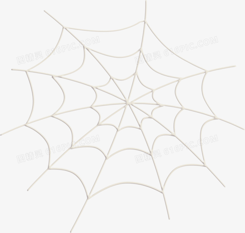 蜘蛛蜘蛛网矢量图 