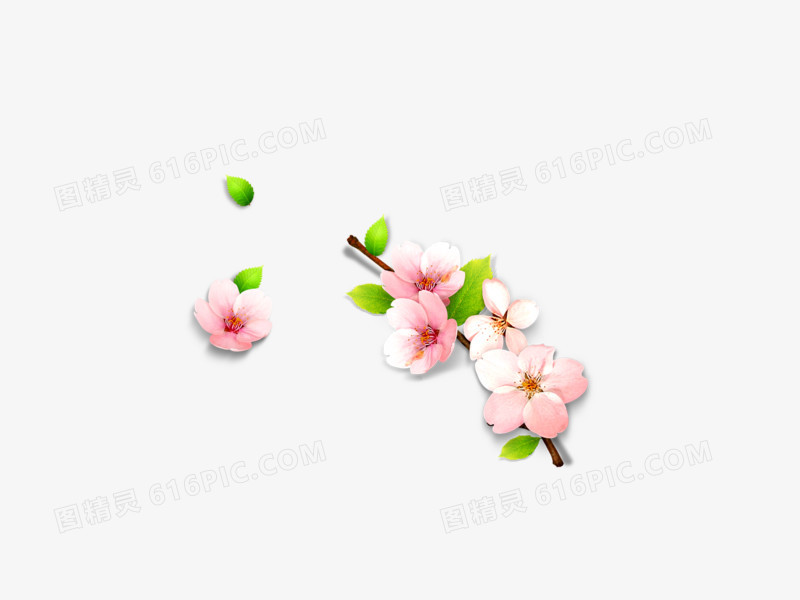 梅花