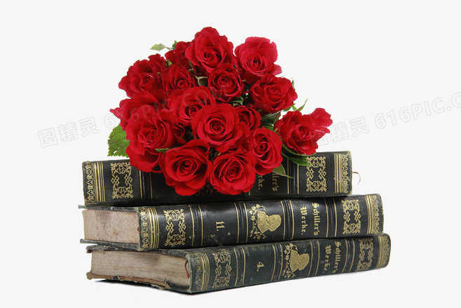 古典书籍与玫瑰花
