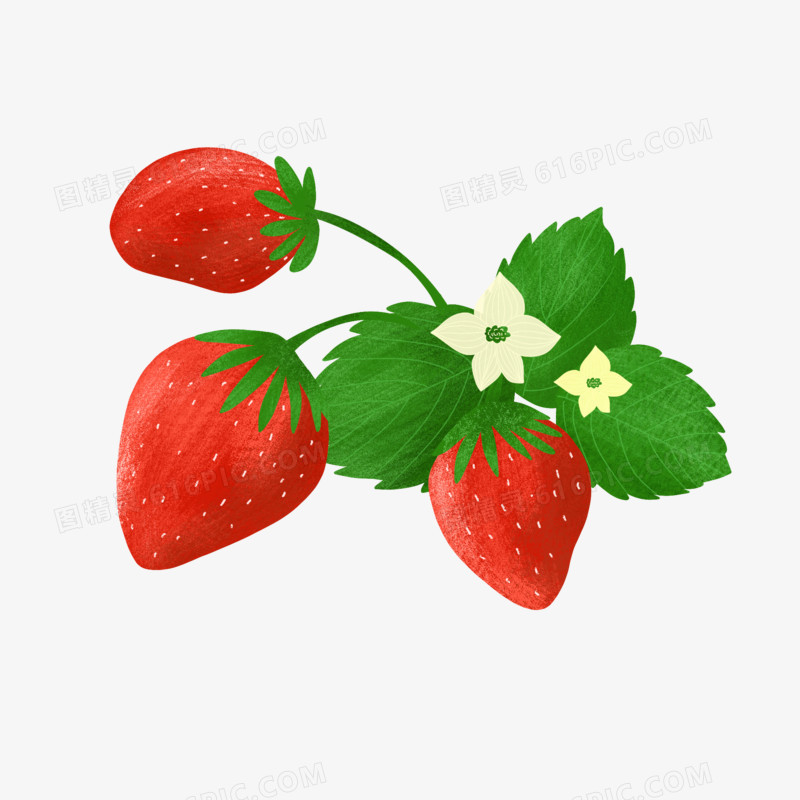 卡通手绘新鲜草莓免抠元素