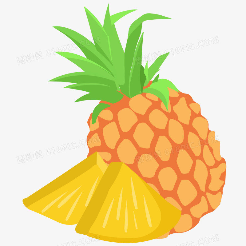 手绘热带夏季水果菠萝素材