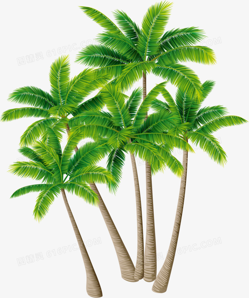 矢量椰子树素材绿色植物