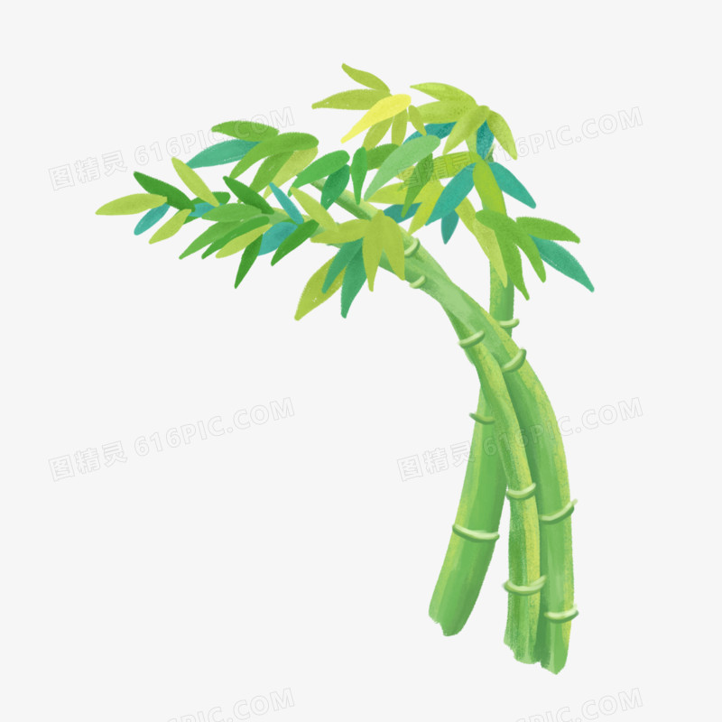 卡通手绘翠绿的竹子免抠素材