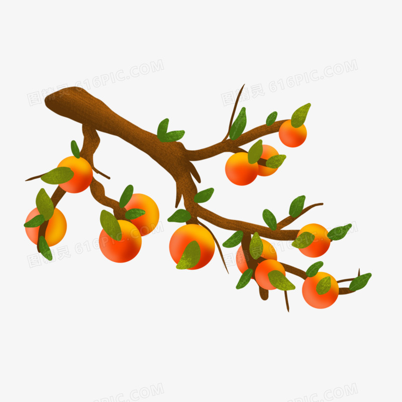 卡通手绘柿子树元素
