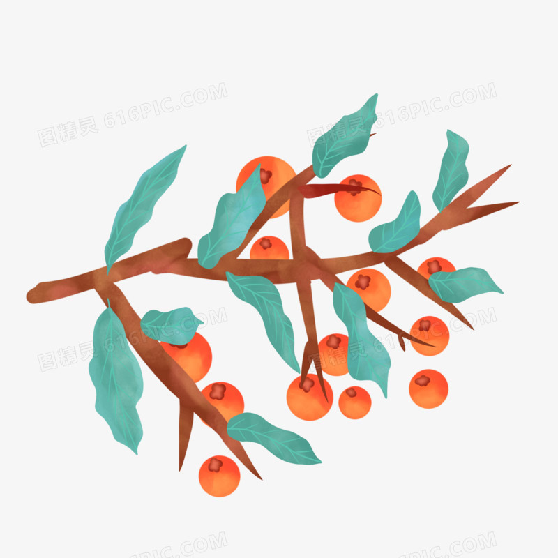 卡通手绘果实累累的柿子树元素