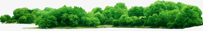 创意手绘绿色的森林丛林