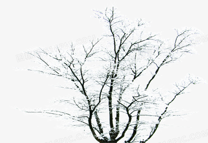 摄影合成白色的雪花树木