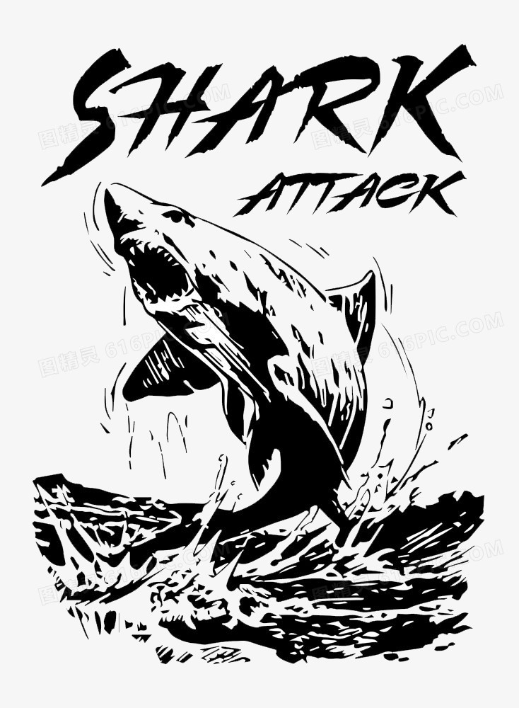 跳出水面的鲨鱼插画图片