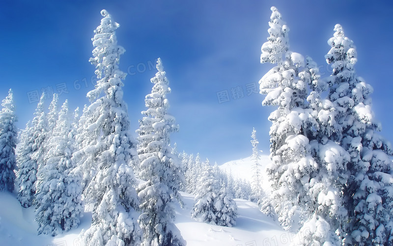 白色雪花银装素裹