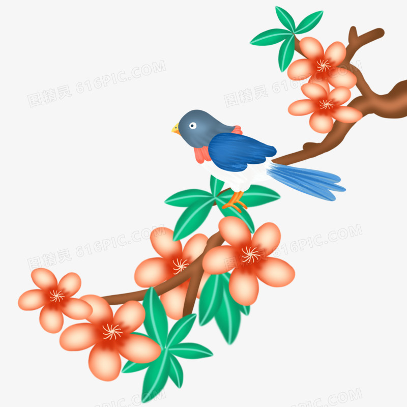 手绘插画风小鸟和树枝免抠元素